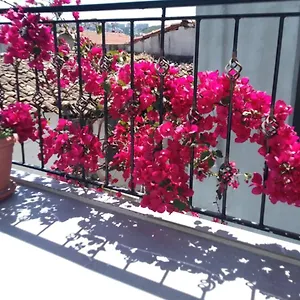 Casa Magnolia Boutique Ξενοδοχείο